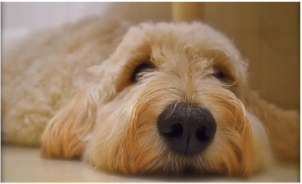 Screenshot 2025-10-28 at 10.29.02 AM